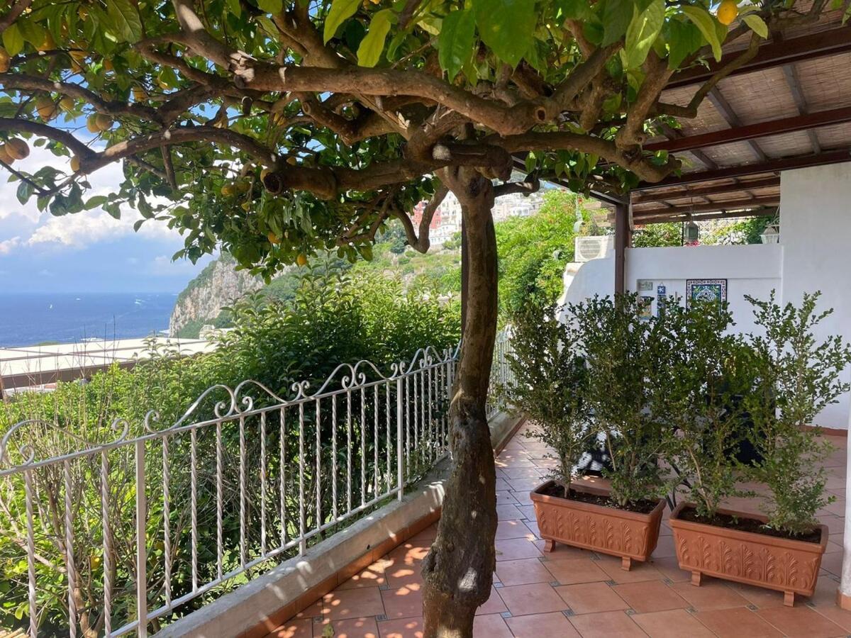 La Casa Di Audrey * Capri